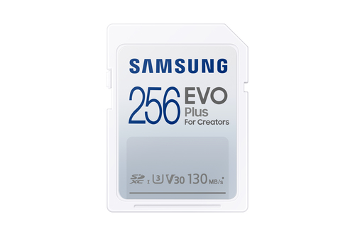 Samsung EVO Plus 256 Go SDXC UHS-I