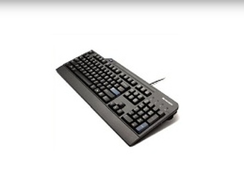 Lenovo 4X30E51014 keyboard USB QWERTZ German Black