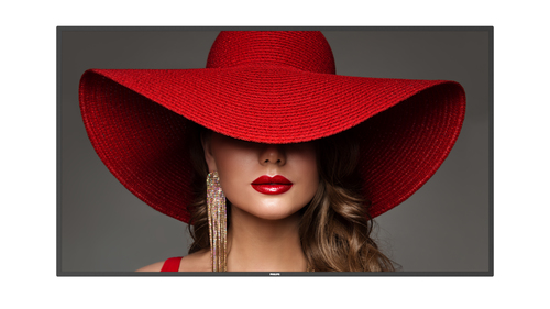 65" D-Line UHD 24/7 landscape & port