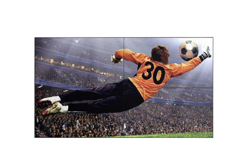 LG Signage 49" 9VL5G