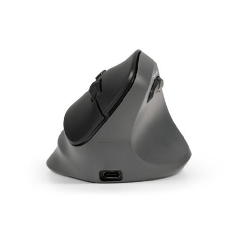 BakkerElkhuizen PRF Pro souris Bureau Droitier RF Wireless + Bluetooth + USB Type-C Optique 2400 DPI