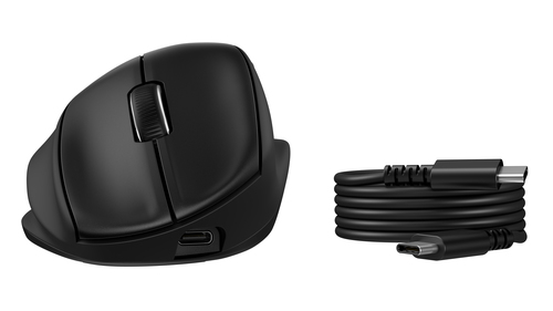 HP Tilt Ergonomic Mouse 725M Tilt Ergonomic Mouse 725M EURO souris