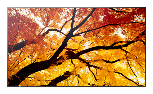 Sharp MultiSync M432 Digitale signage flatscreen 108 cm (42.5") LCD 550 cd/m² 4K Ultra HD Zwart