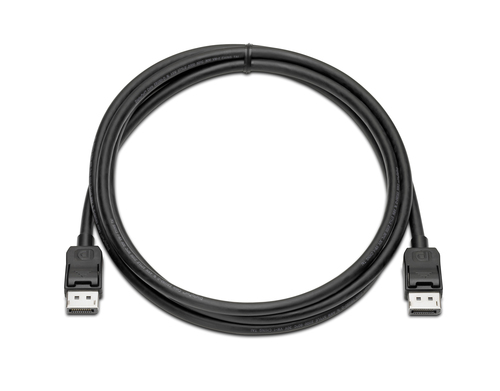 HP Display Port Cable 2 mtr