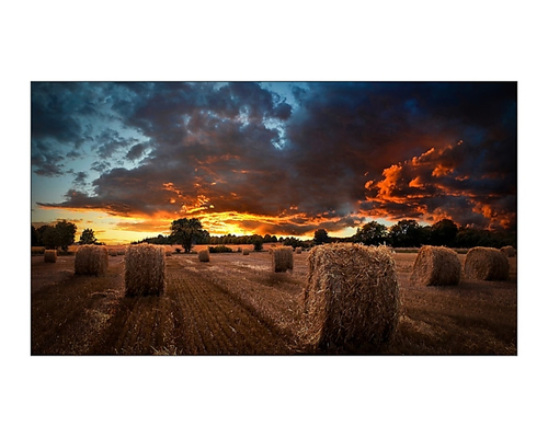 Samsung VM46B-U LCD Indoor