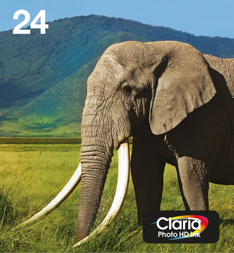 Ink/24 Elephant CLcMLmYK