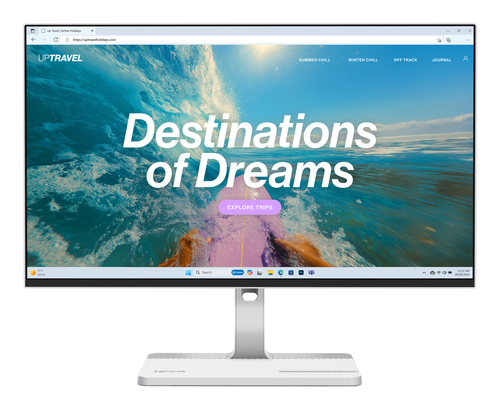Lenovo L24D-4C écran plat de PC 60,5 cm (23.8") 1920 x 1080 pixels Full HD LCD Gris