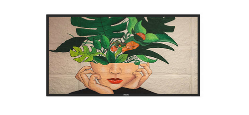 Philips 65 D-Line FHD 24/7